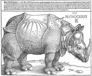 Dürer Albert: Rhinocerus, 1515.
